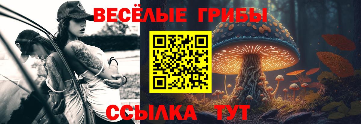 Галлюциногенные грибы мицелий Волгодонск